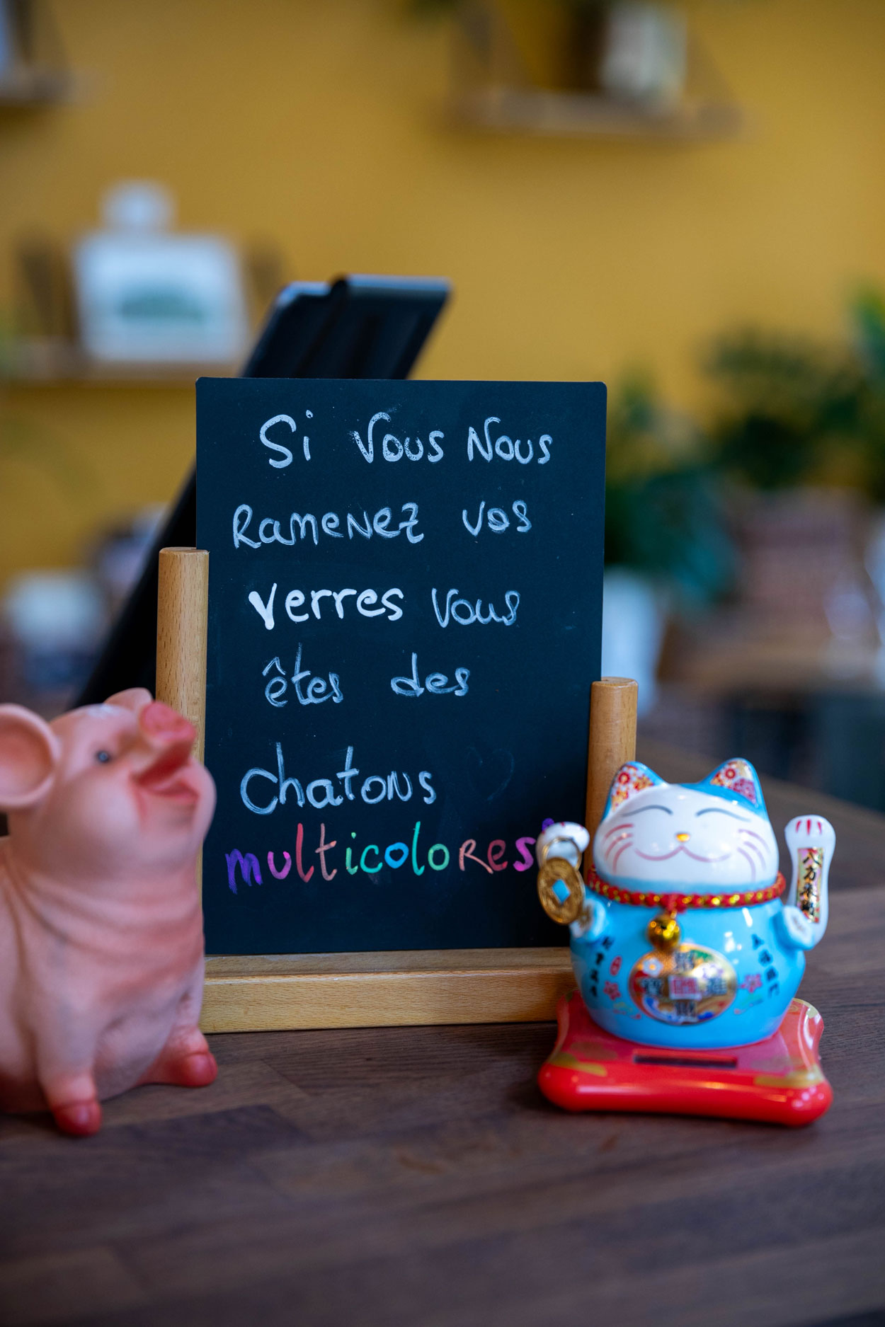 Le Central Vapeur, bar à facettes et cuisine du coin, cafe, restaurant, bar, bio, Crest, Drome, bien manger, bien boire, SCOP, produits locaux, circuit court